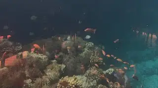 Amazing 5.8 underwater restaurant Maldives - Boat trip ride from Kuredu Island resort