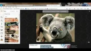 How To: Use PicMonkey.com