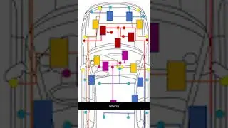 Verification Simulation of in-vehicle network relay performance using VisualSim