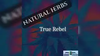 NATURAL HERBS- TRUE REBEL (conscious reggae music)