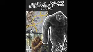 Bigfoot Facts and Strange Encounters in the Woods