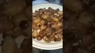who tried this exotic food #shorts
