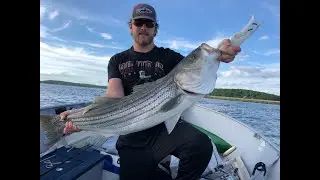 HUGE CT STRIPERS!! Mid June 2020