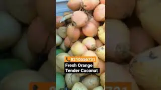 Fresh Orange Tender Coconut Available Call Us 8210556731#shortvideo#business#vickyagro#shorts#trend