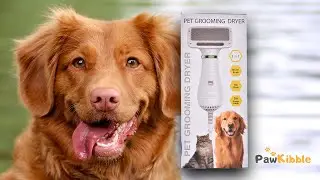 2-In-1 Pet Grooming Dryer