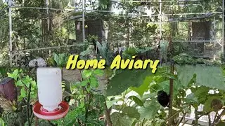 outdoor bird cages | Aviary minimalis