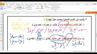 النسب 3