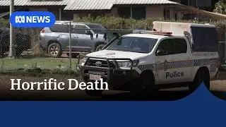 Police arrest man over alleged domestic violence-related death of partner in Palmerston | ABC NEWS