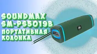 Колонка с Handsfree за 1300 рублей | Soundmax SM-PS5019B