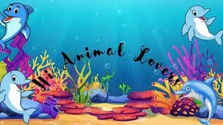 Animal Lovers| Dolphin Song| Educational Videos For Kids