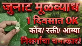 मूळव्याध, बवासीर, फिशरवर रामबाण आयुर्वेदिक उपाय | Piles Cure Naturally
