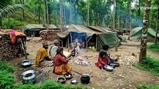 Real Forest Tribe Life in Nepal | Daily Survival, Traditional Cooking & Jungle Living || part 5