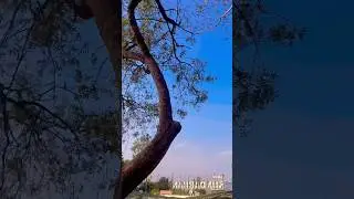 I will lose my sight on your face #hindisong #song
