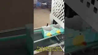 🍉【Fruit & Veg Tray Forming Machine】Efficiently Producing Watermelon Boxes for Safe Transport! #box