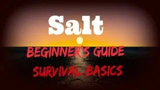 Salt: Руководство для начинающих &mdash; Основы выживания (ПК) &mdash; Прохождение