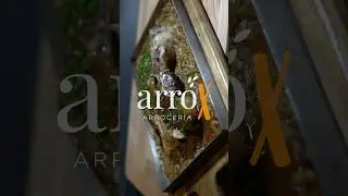ARROX Restaurante-Arrocer&iacute;a Presentaci&oacute;n