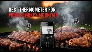 TOP 5 Best Thermometer for Weber Smokey Mountain 2025 | Thermometers for Weber Smokey Mountain