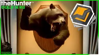A Big Diamond Black Bear On Silver Ridge Peaks For Our Spring Creek Manor! Call Of The Wild