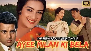 Bollywood Evergreen Dharmendra Classic Romance Movie | Rajendra Kumar, Saira Banu, Nazir Hussain |