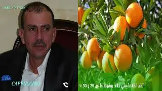 🔴🔴🚨 بني خلاد تتأثر بالفيضانات: خسائر في إنتاج القوارص قبل رمضان