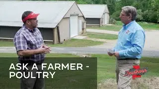 Show 721C Ask A Farmer - Poultry