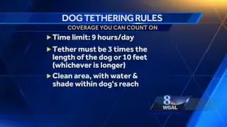 &lsquo;Libre&rsquo;s Law&rsquo; places new restrictions on dog owners