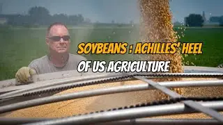 The Soybean: Achilles' Heel of US Agriculture