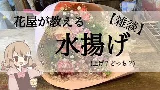 【雑談】水揚げの動画振り返り