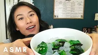 ASMR Eating Coconut Jelly 🥥 & Grass Jelly (soft squishy & crunchy eating sounds) 💚