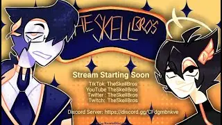 VRChat Stream
