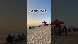 🛑Cherai beach | kochi | couple | vypin | Marine drive