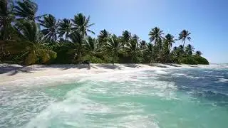 Tropical Wind Therapy ASMR &ndash; Clean Your Mind Instantly 🌴🧠