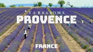🇫🇷 Scenic Provence, France | Lavender Fields, Charming Villages & Historic Castles in 4K