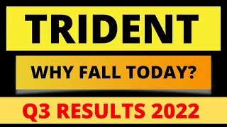 trident share latest news today, trident q3 results 2022, trident q3 results, trident share news
