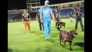MS Dhoni playing with his dogs