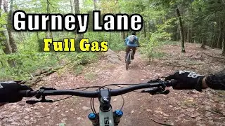 Gurney Lane with the Bunny Man