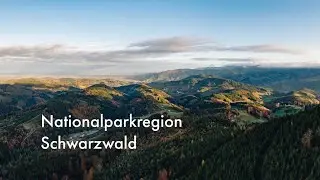 Nationalparkregion Schwarzwald - Vielfalt. Viel Wald. Viel Herz.