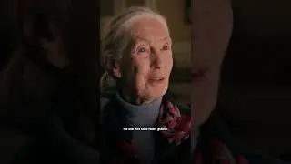 The story of JANE GOODALL! #EarthX #Shorts