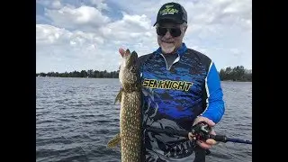 SeaKnight ELF II Baitcasting Reel Review