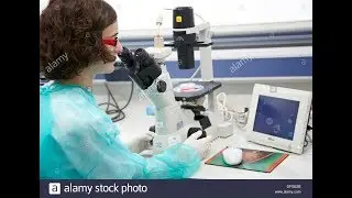 Inverted Microscope