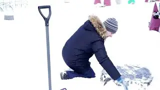 Садовый центр GardenDecor