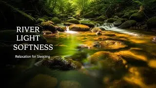 Gentle Forest Ambience with Gentle River Flow for Study Meditation Sleep Stress Relief and Calm Mind
