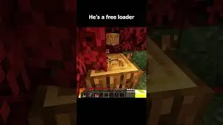 He is a NITWIT