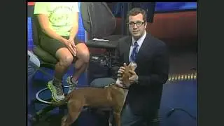 All About Animals interview with WGXA Rick Devens
