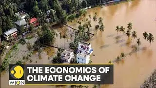 WION Climate Tracker: 2022 Natural disaster losses from storms, floods and fires hit $115 bn | WION