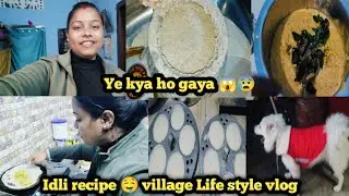 Idli recipe 🤤 Village Life style vlog 🌞 || Mere sath v aisa kyu hota h 😭 || #villagelife 