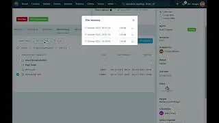 View attachment version history