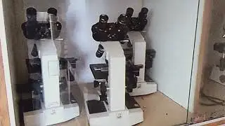 Prithvi Narayan Campus | Microbiology Lab