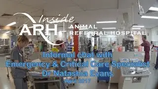 Dr Natashia Evans, Specialist Emergency & Critical Care Veterinarian