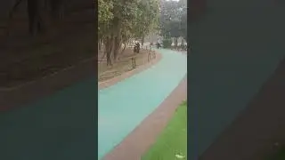 ما شاء اللہ ریس کورس لاہور گاڑی میں  وزٹ کرتے ہوئے بہت خوبصورت دوست کو کیسا لگا واپسی بتانا شکریہ